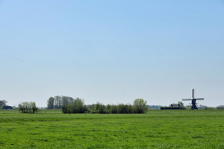 Paaseieren zoeken met en door speeltuinvereniging Wildebras_14